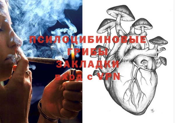 PSILOCYBIN Бородино